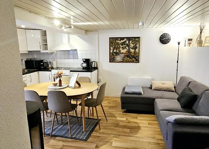 Central And Large Cosey Apartment