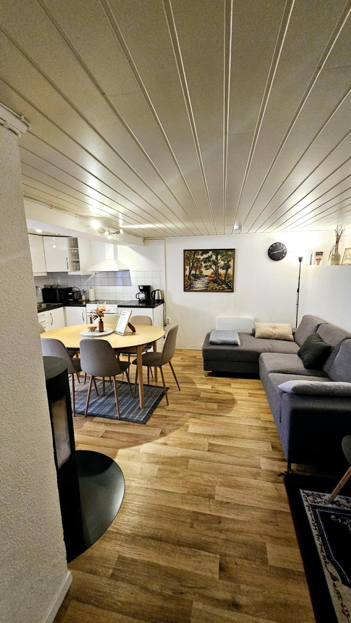 Apartment And Large Cosey